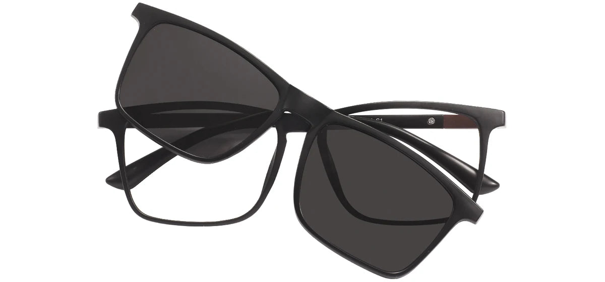 Lunettes Polarisées 3-en-1